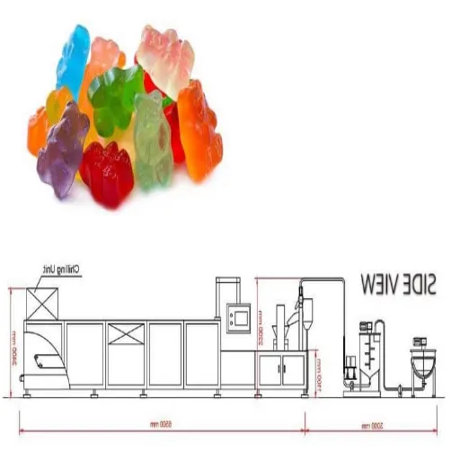 Understanding the Gummy Production Process