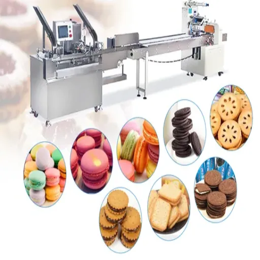 Choosing the Right Biscuit Machine Manufacturer