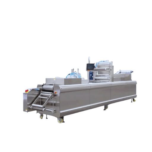 How to Choose the Right Biscuit Packing Machine?
